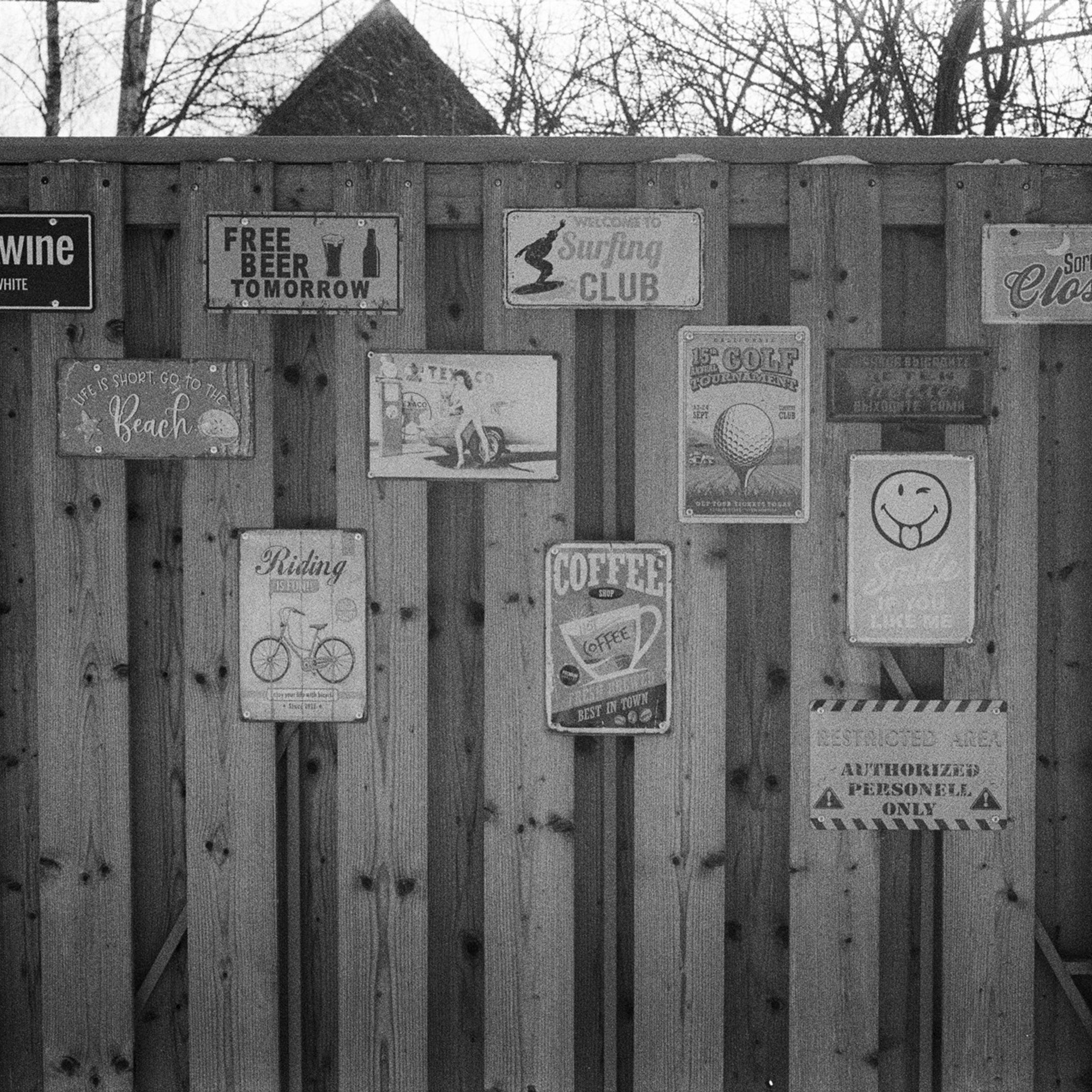 Nikon F100 — Nikon 50 1.8D / SFL Т-25 ISO 125 BW