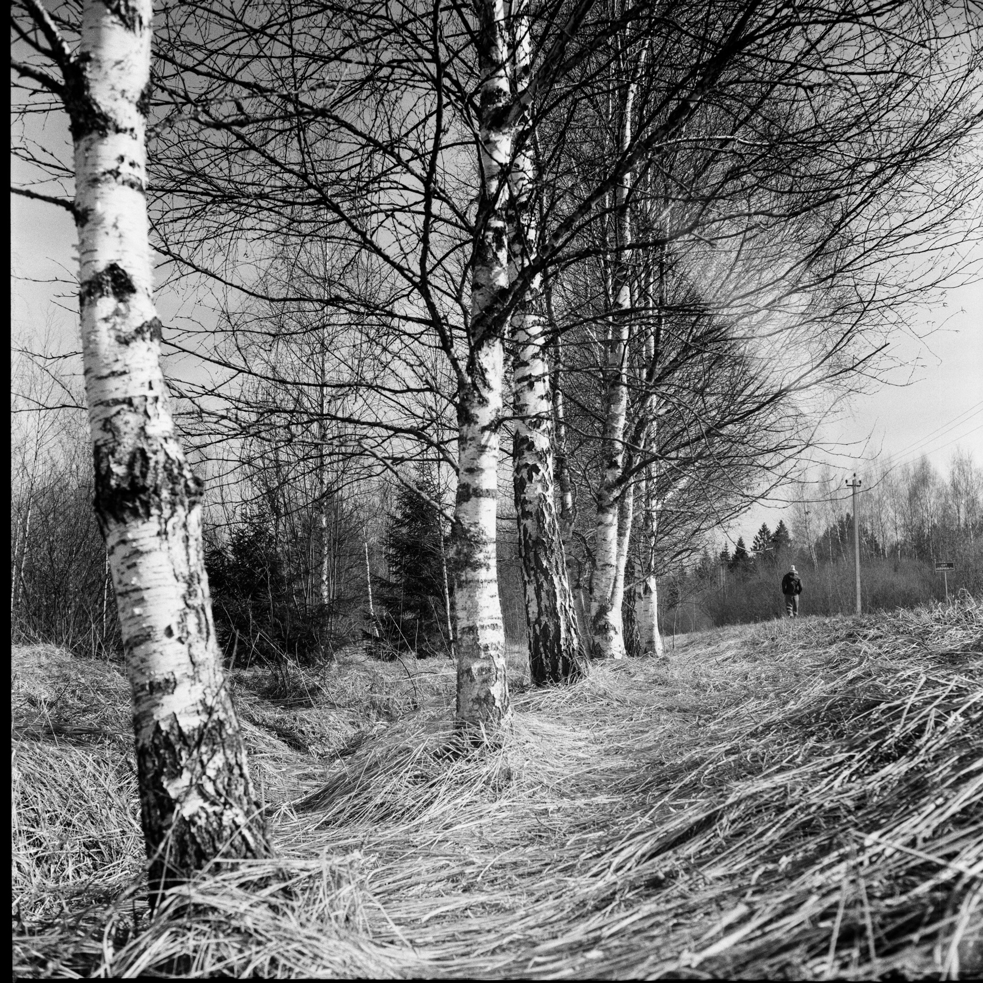 Kowa Super 66 — Kowa 55 mm f3.5 / ТАСМА Тип-42 ISO 400