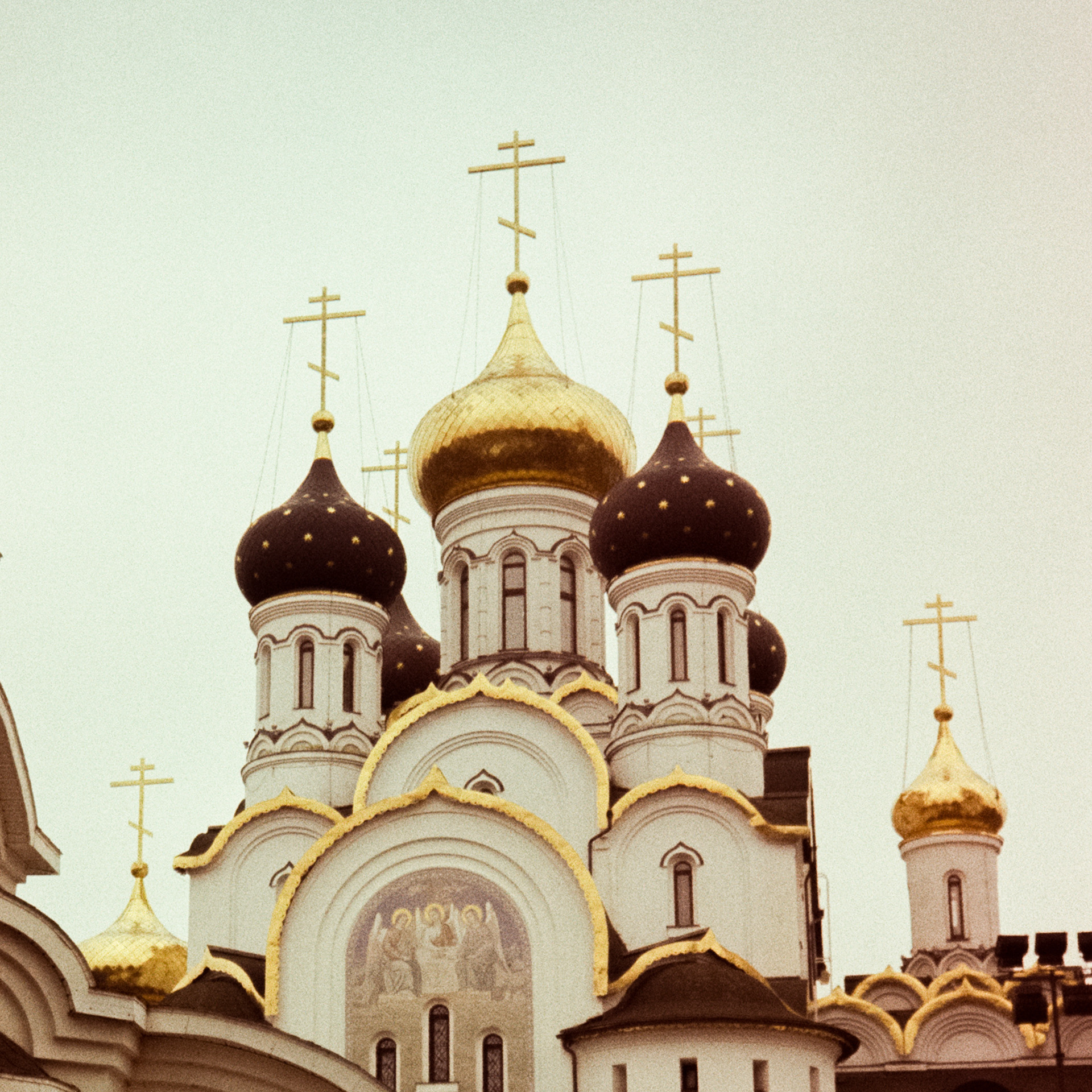 Kodak Gold 200 at ISO 100 / Fuji DL300