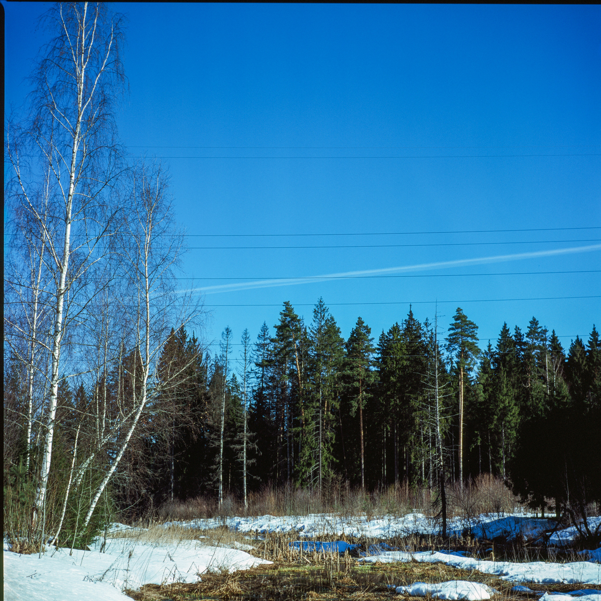 Kowa Super 66 — Kowa 85 mm f2.8 / Fujicolor Velvia 100 at ISO 50