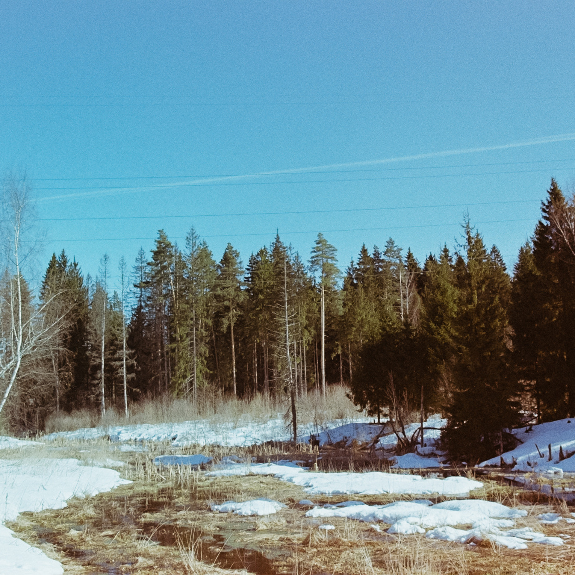 Kodak Gold 200 at ISO 100 / Pentax Z-1P Pentax FA 28-70mm f4