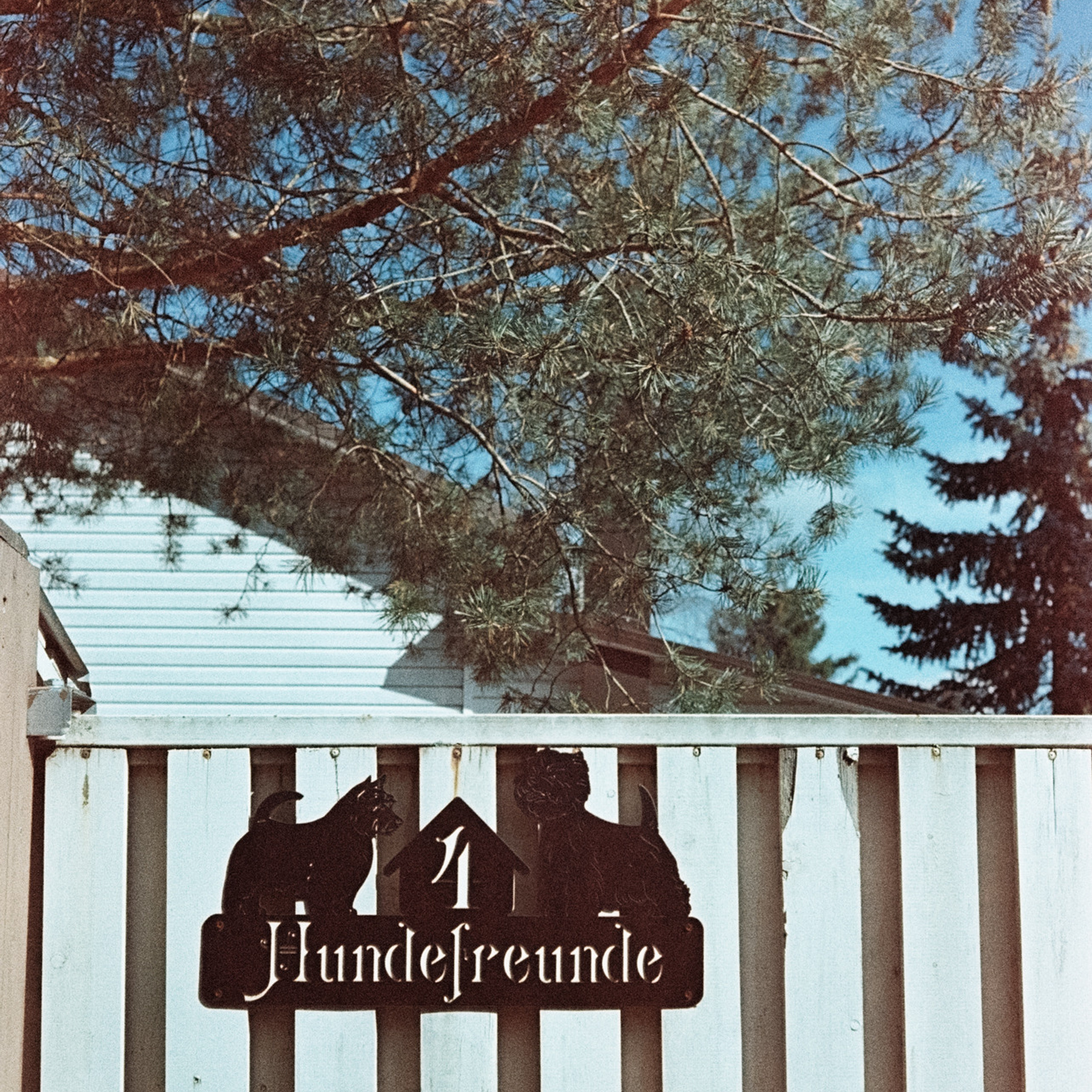 Konica Centuria 1600 at ISO 50 / Canon Canonet QL17 G-III QL