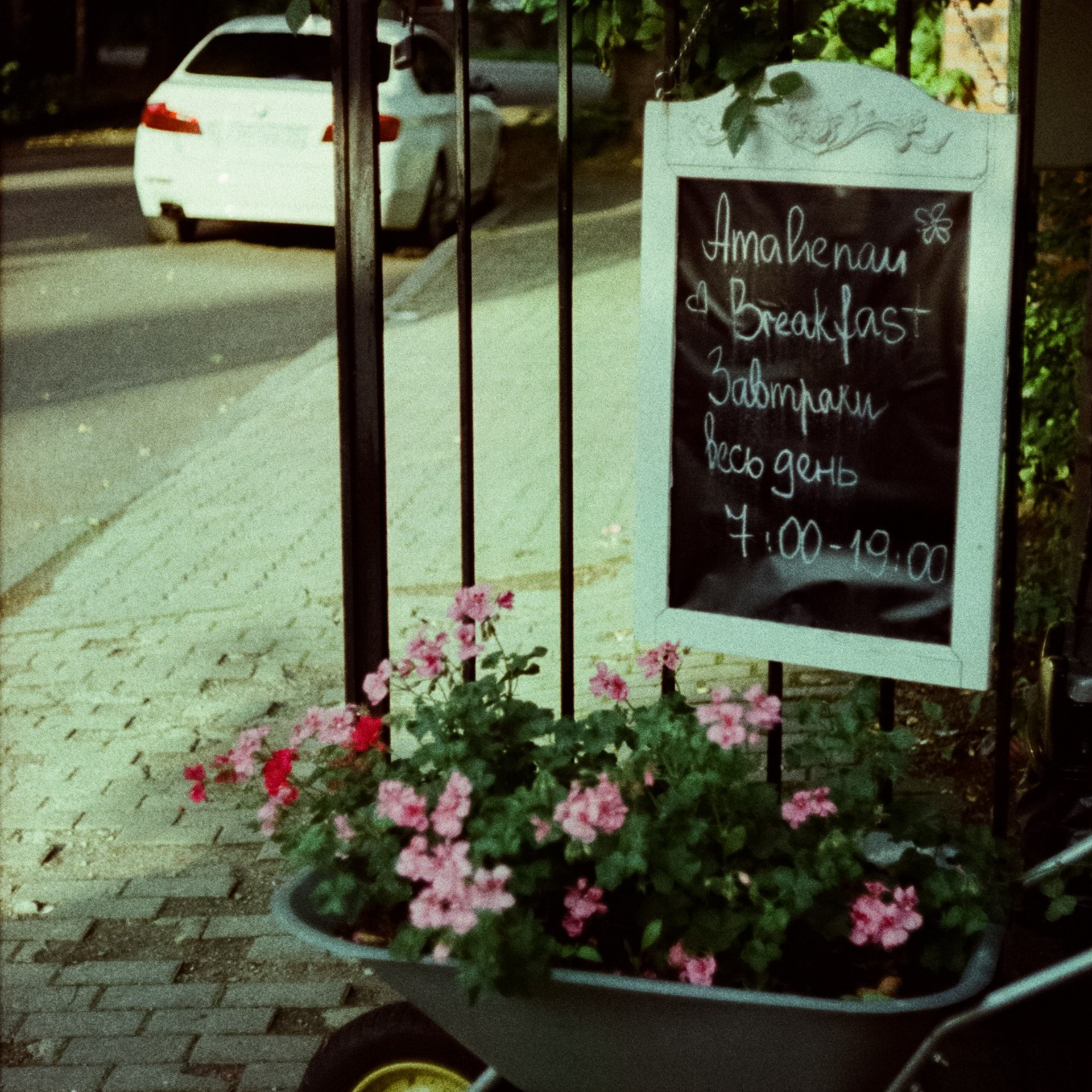 7 июля Калининград, Светлогорск / Olympus PEN FT / Kodak Gold Ultra 400 (просрочка)