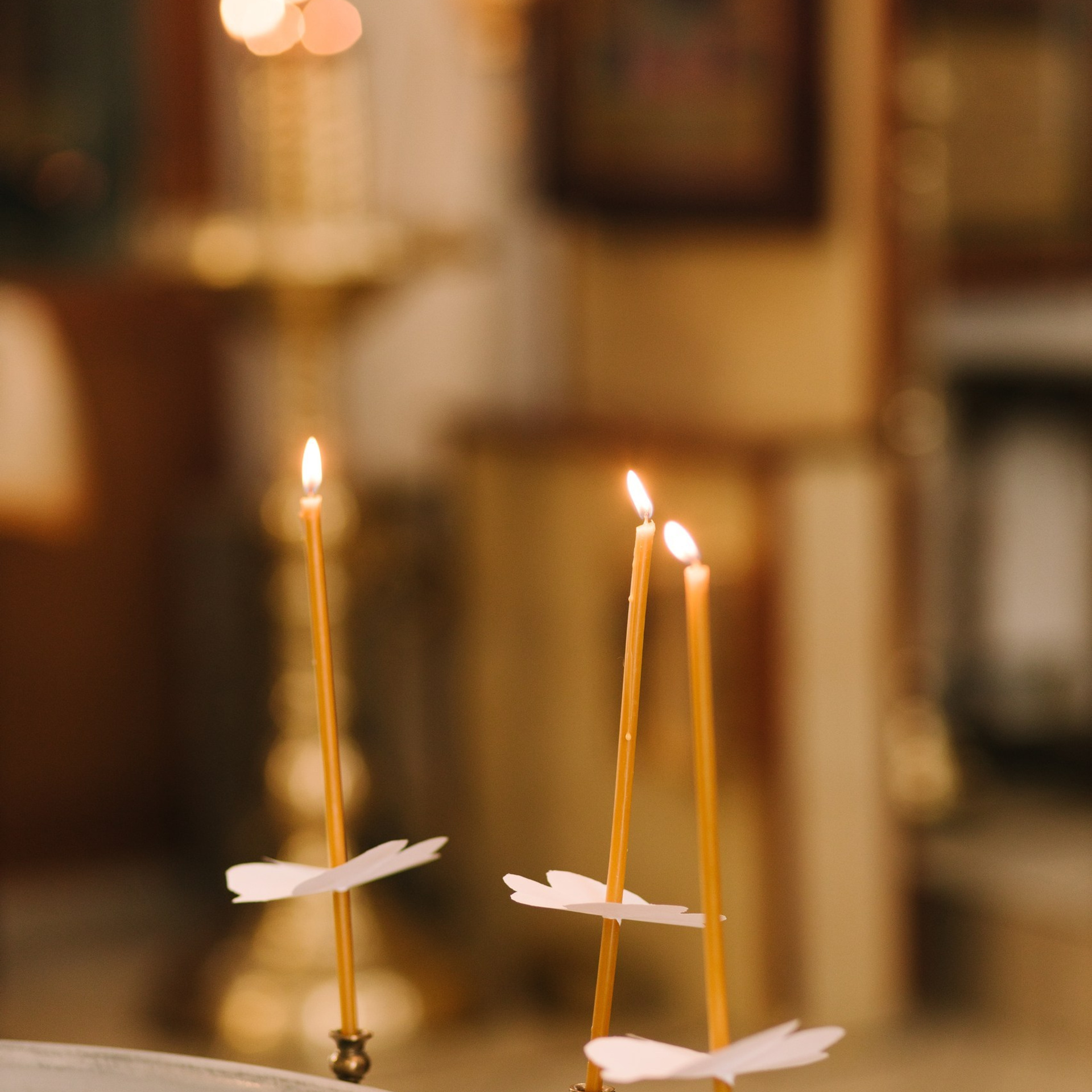 Отзывы. Свадебный и семейный фотограф Исаев Давид