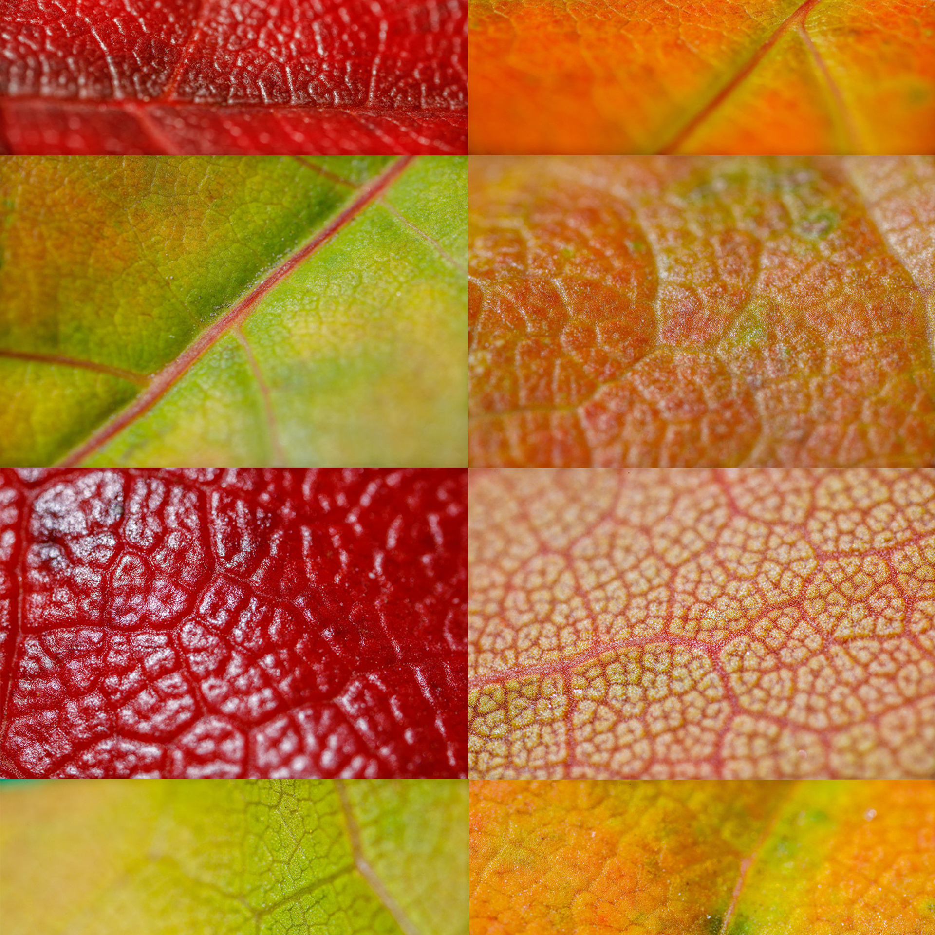 Third.place. Фотограф Балаев Михаил