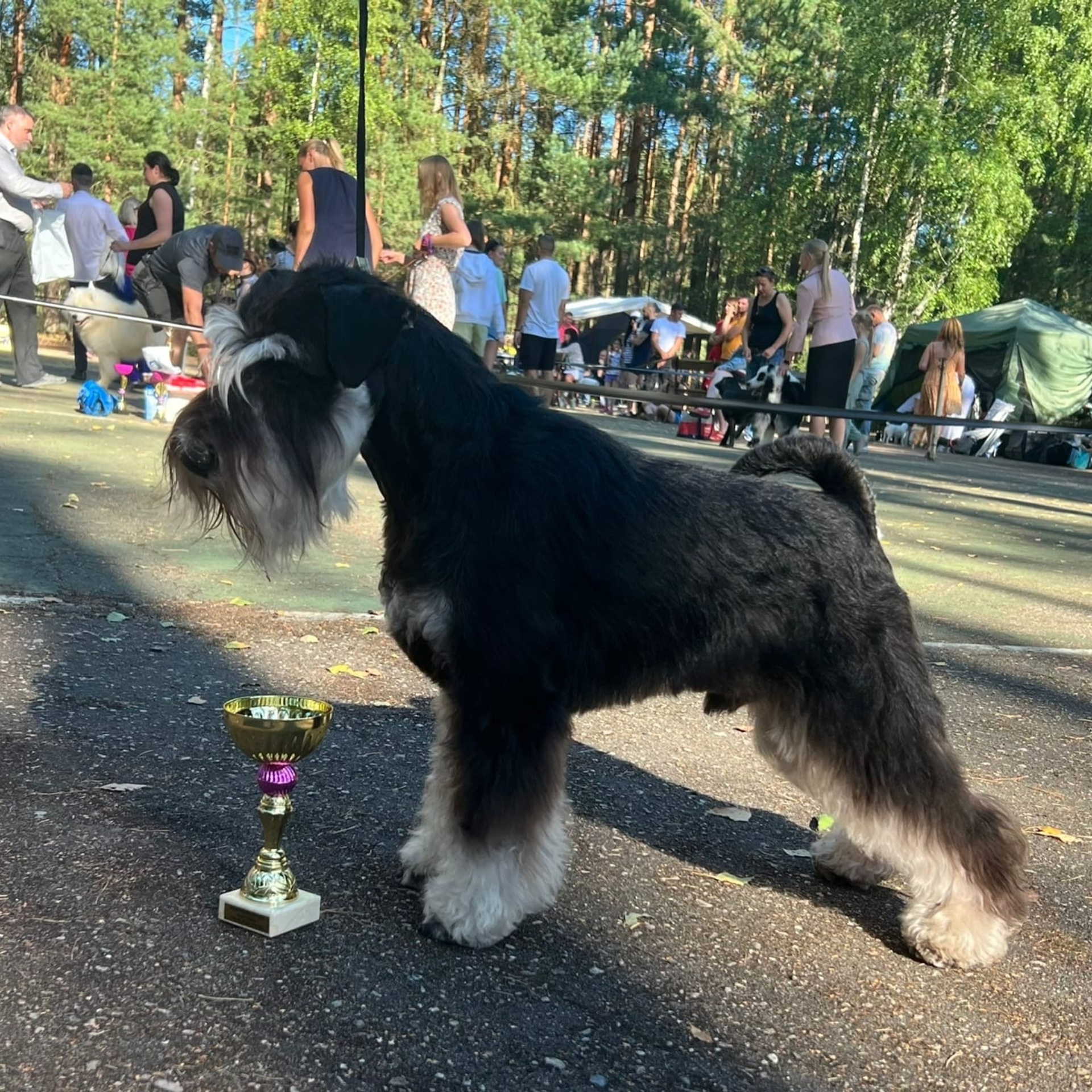 Изар/Delinso Balance Izar Tesoro