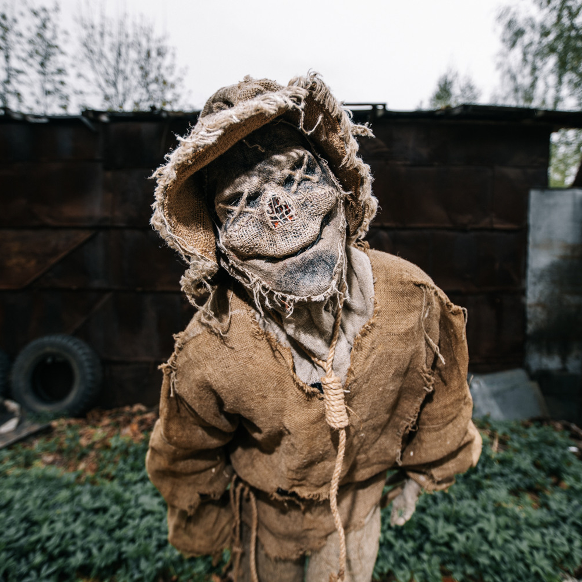 Отзывы моих клиентов. Портретный фотограф в Москве