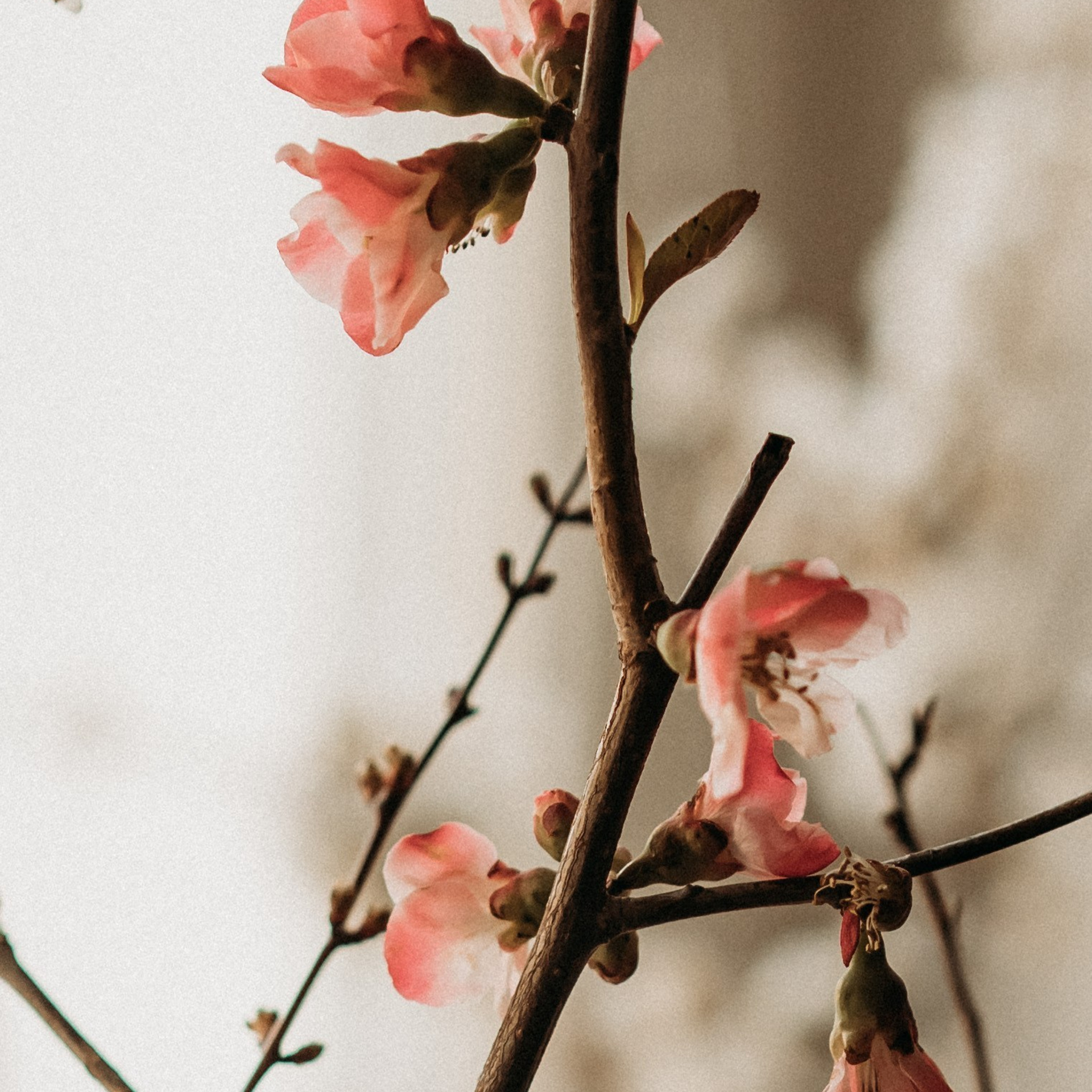 Отзывы. Фоторежиссер — O! Markova