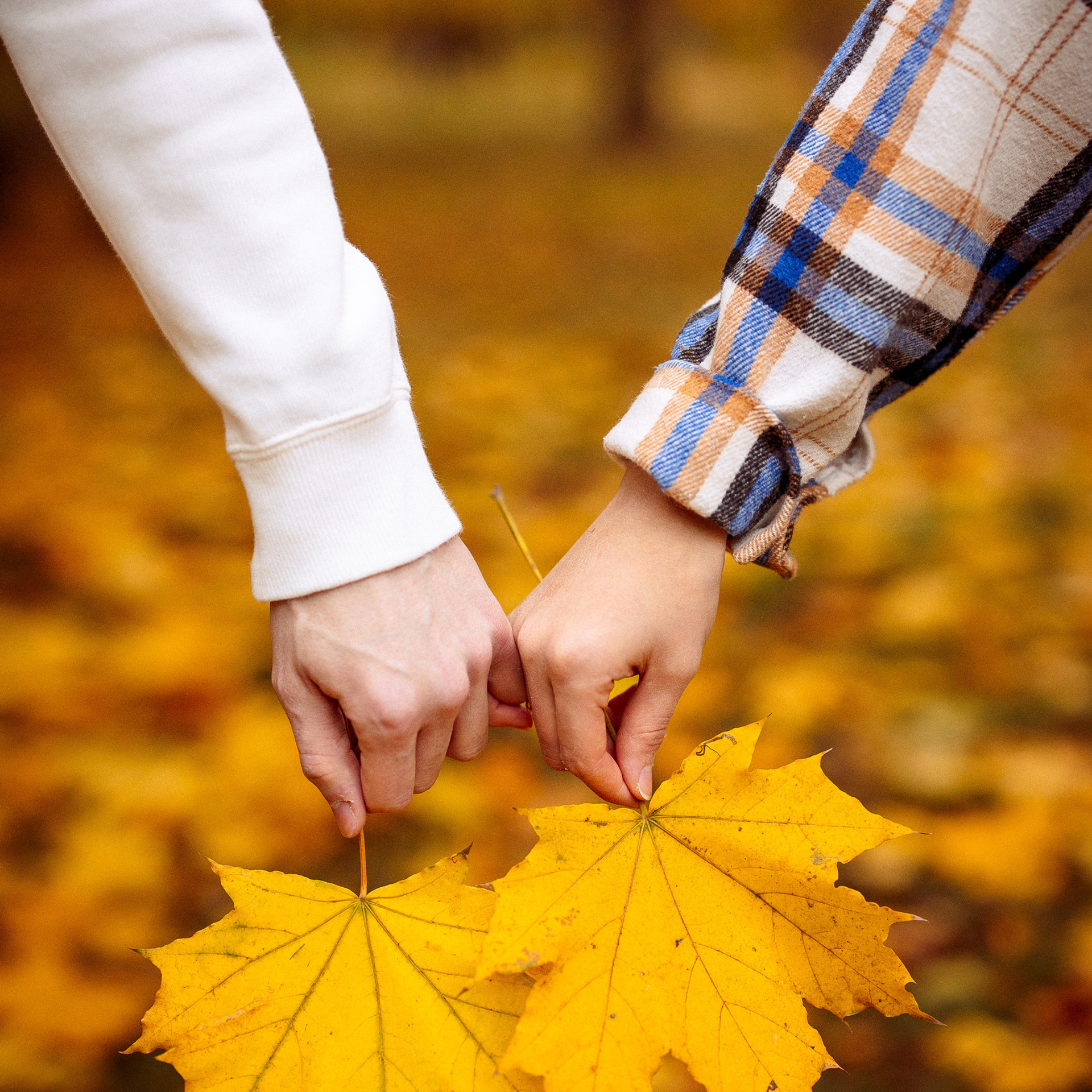 Отзывы. Семейный и детский фотограф в Краснодаре Анна Трашкова