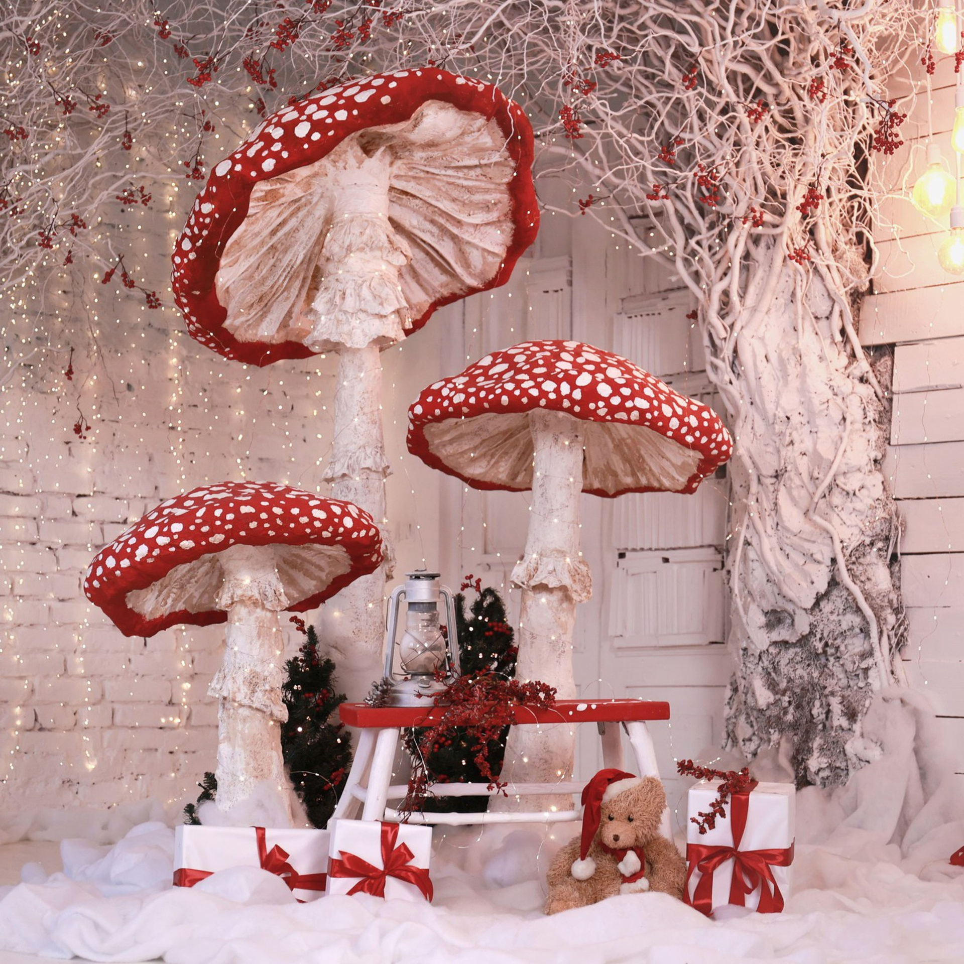 Фотостудия «Alice»