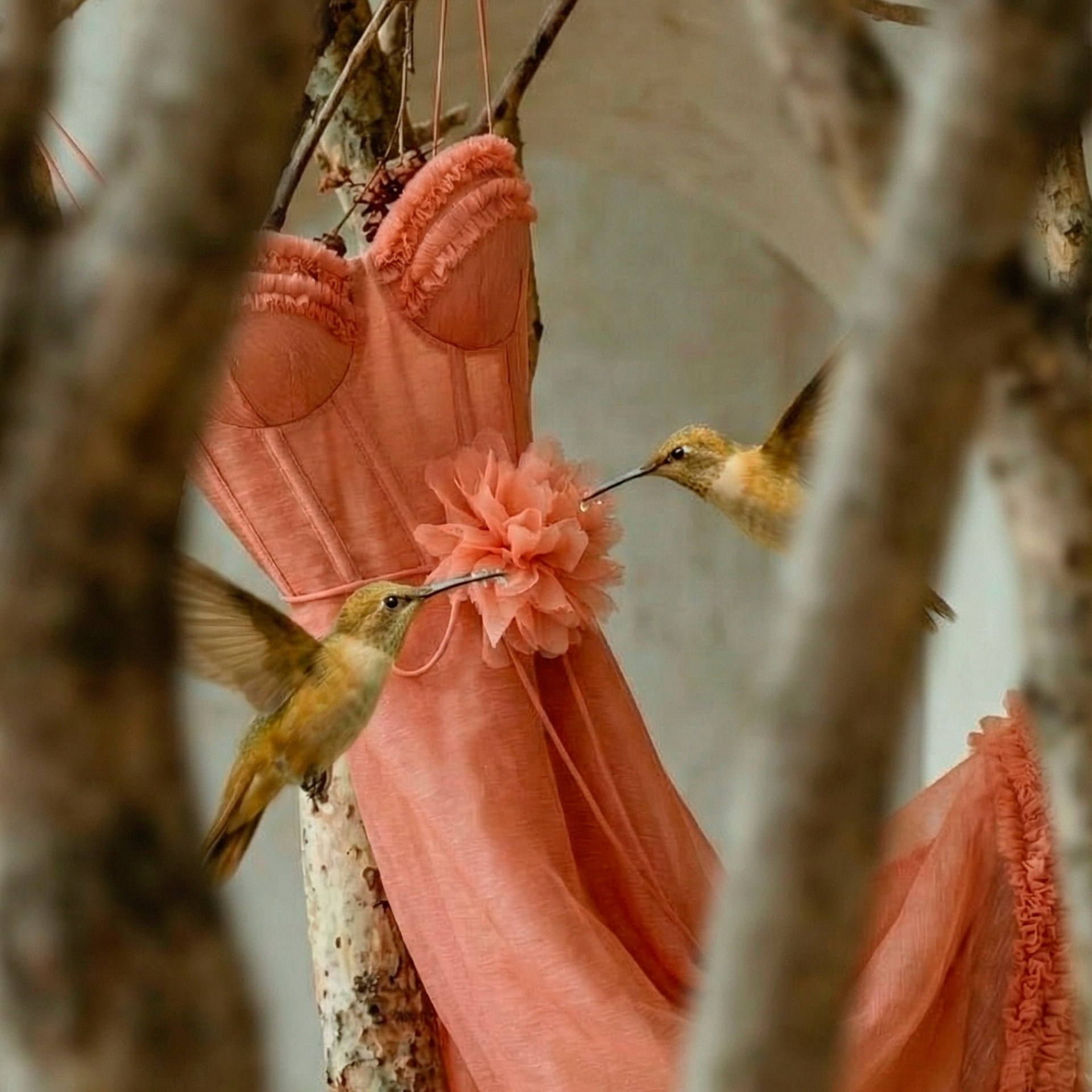 ZIMMERMANN. Фотограф и ai креатор для брендов Москва Люся Мамонова