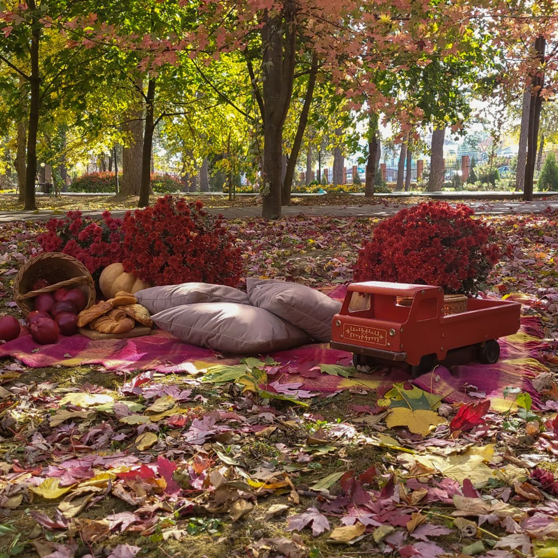 Отзывы. Петр Ступень. Свадебное, семейное фото и видео. Москва. Краснодар