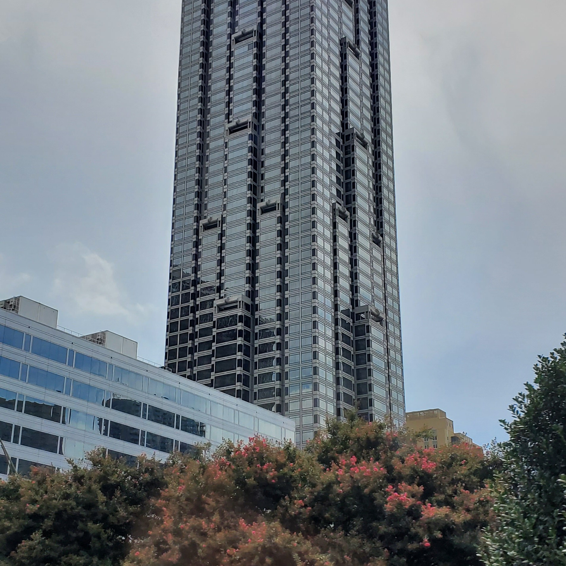 Отзывы. Петр Ступень. Свадебное, семейное фото и видео. Москва. Краснодар