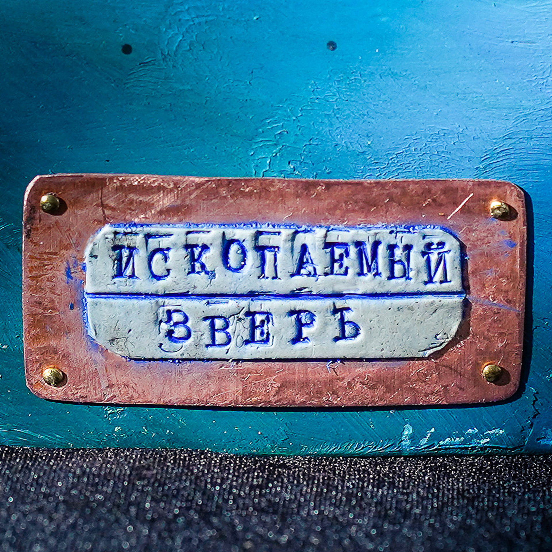 Ископаемый зверь