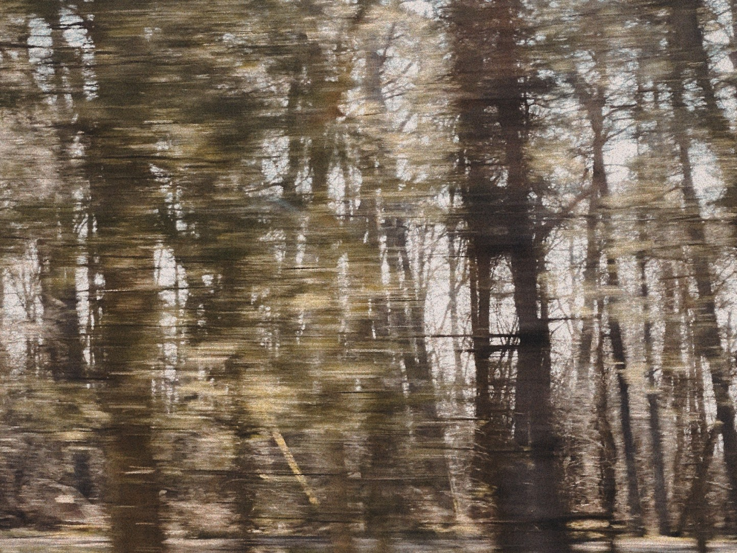 Тимофеев Константин. ARTEXPOPHOTO