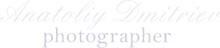 anatoliydmitriev.ru