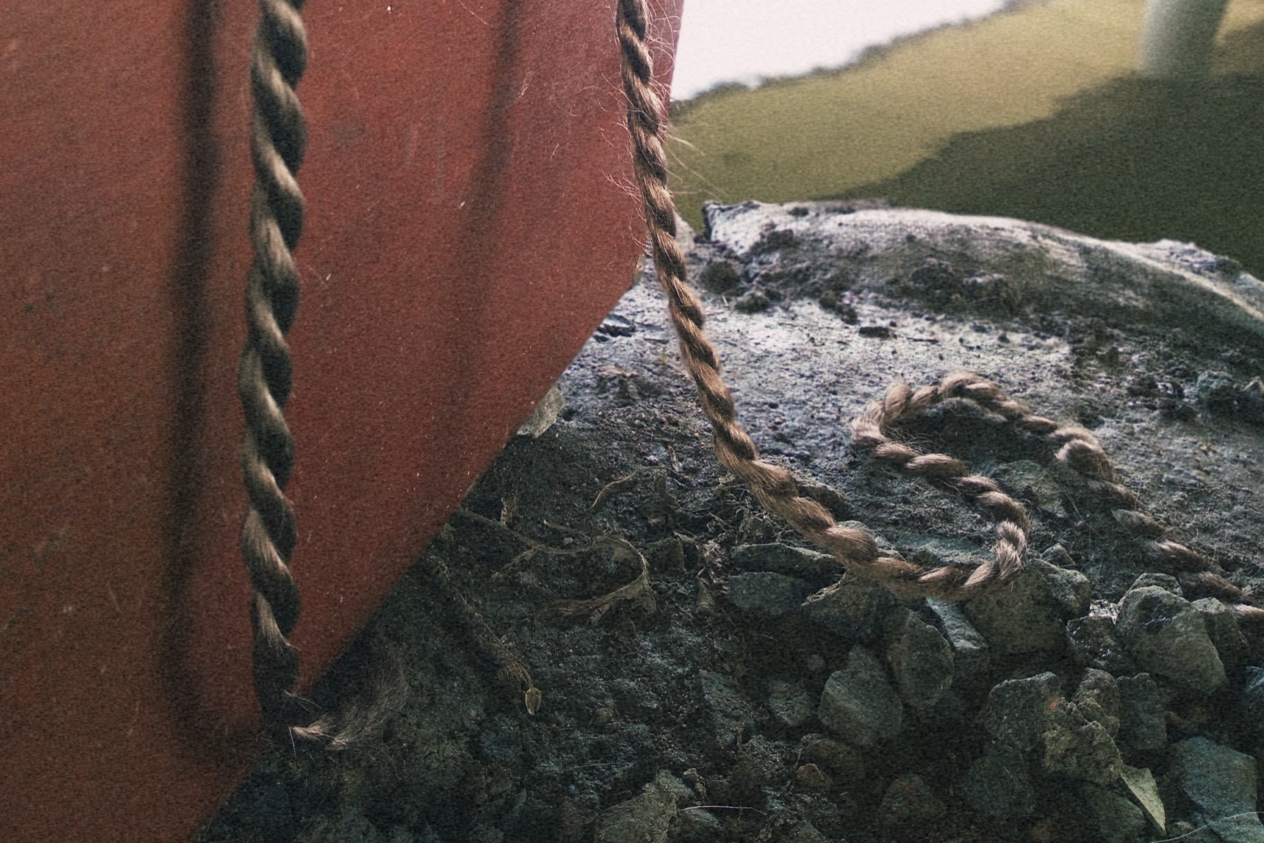 Оскар. Ирина Петрова. Современный художник