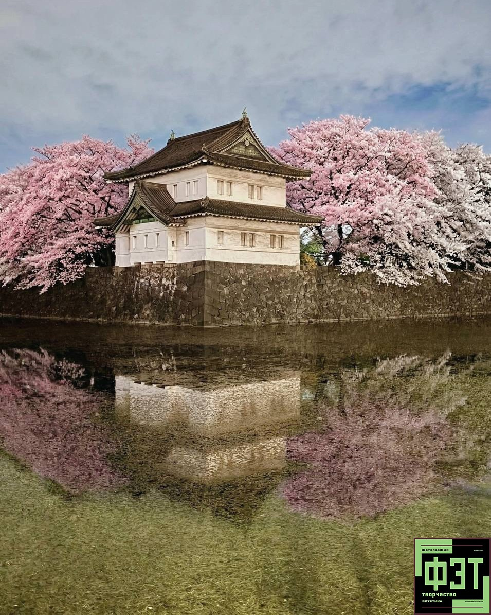 Альбом 29.03.26 в рамках ФЭТ