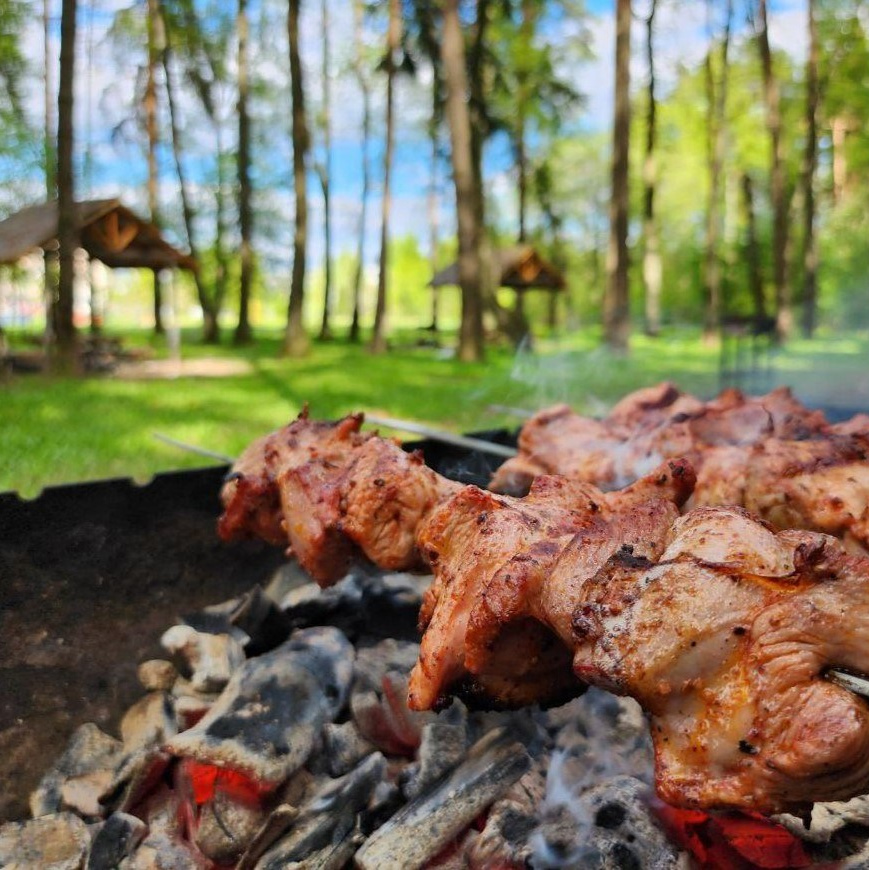 Летние дни в Шалово-парк — как в детстве, только лучше. Оздоровительный комплекс Шалово-парк Серебряные ключи