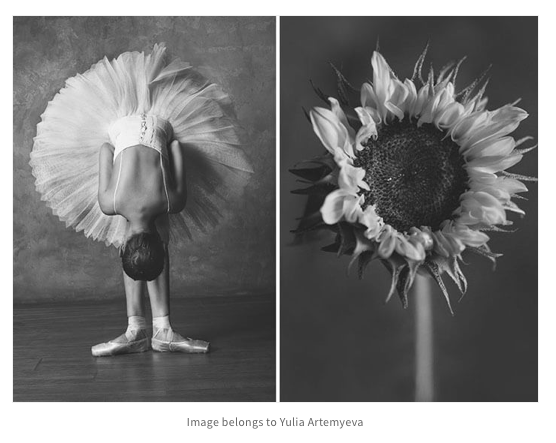 Press — design swan