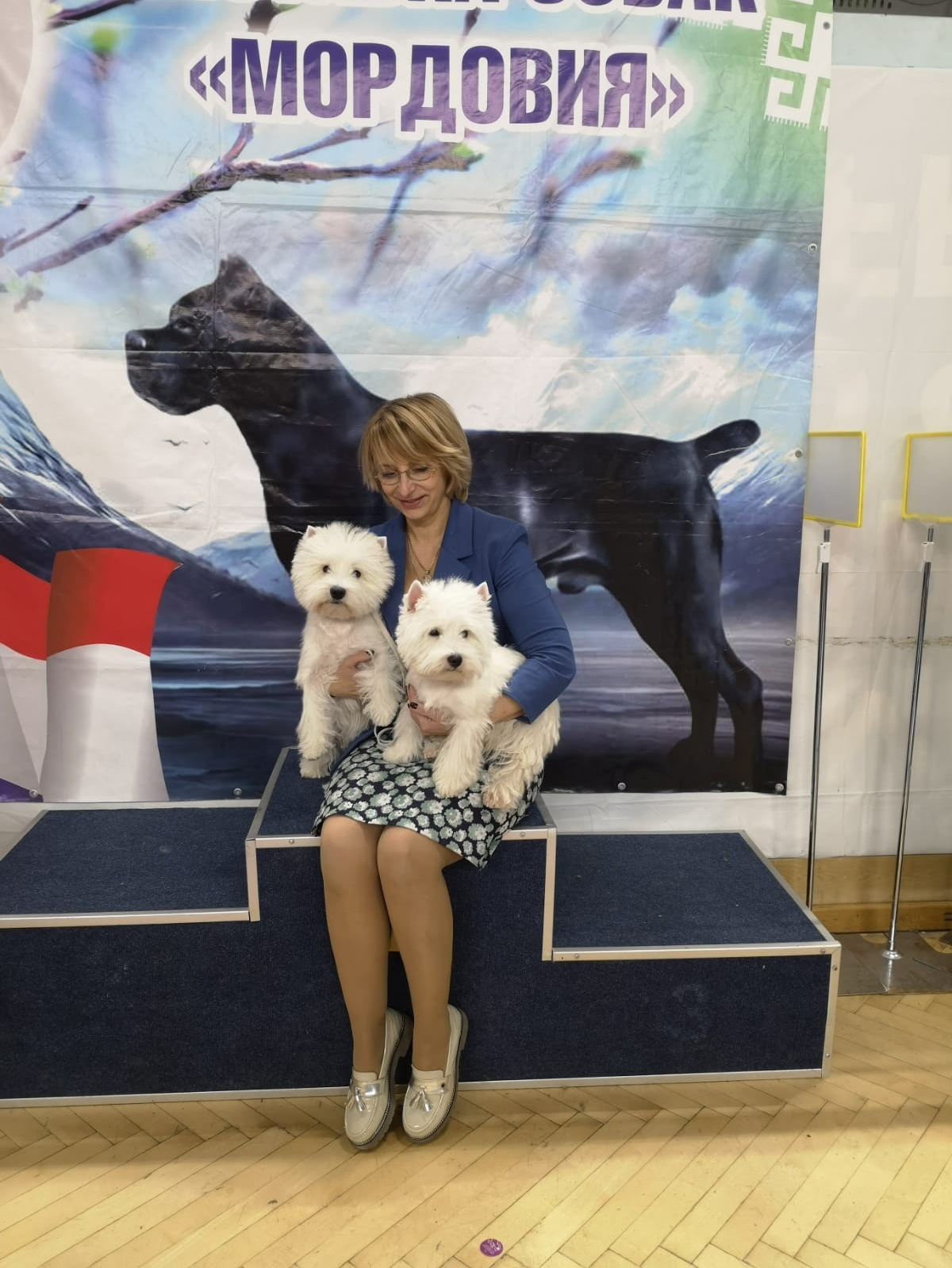 Национальная выставка всех пород ранга САС/ЧРКФ с особым статусом. Питомник собак породы вест хайленд вайт терьер в Москве