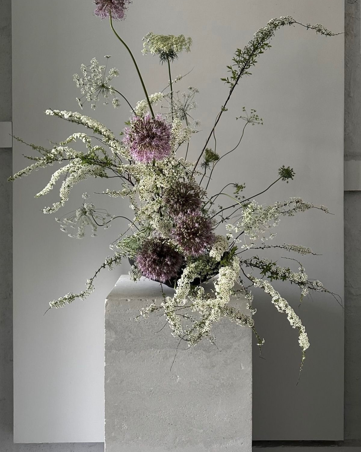 CKflora