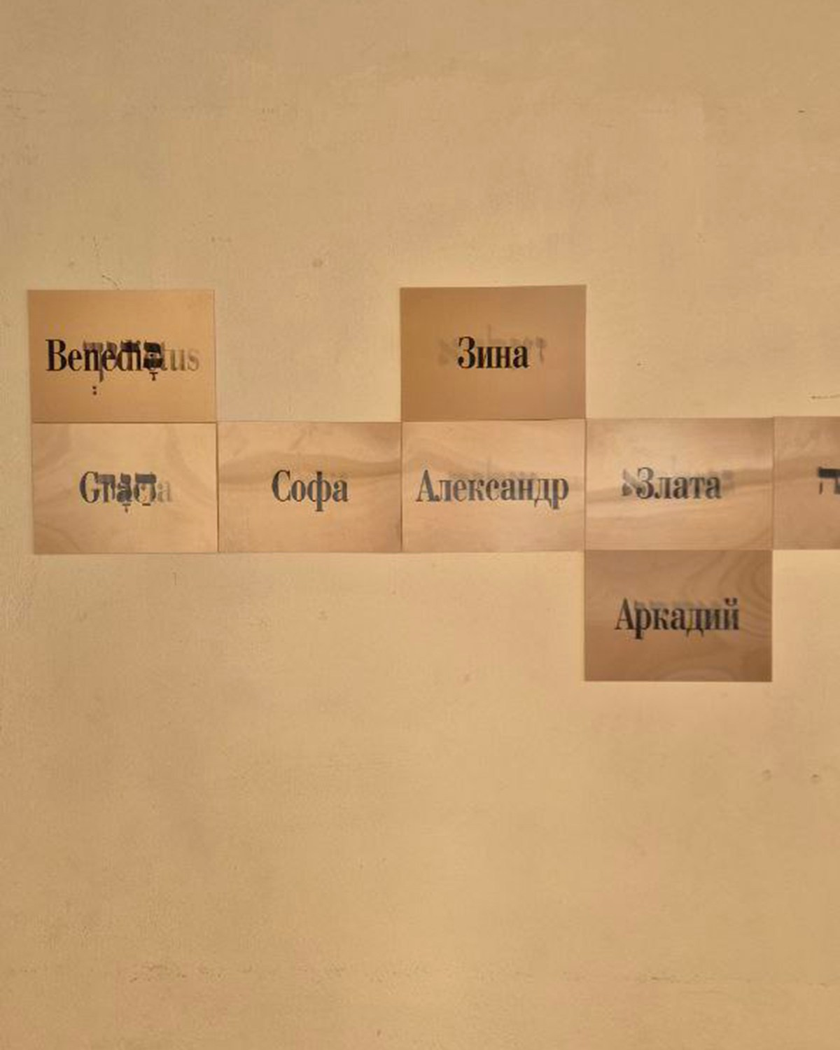 כנוי. Asya Bobritskaya is a multidisciplinary artist