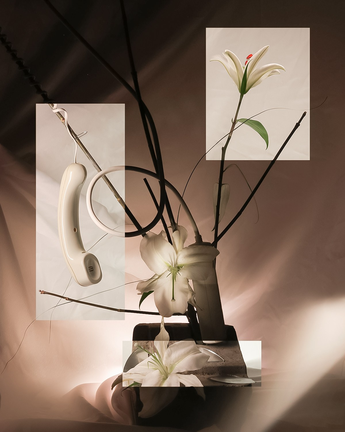 Кароси. Главная