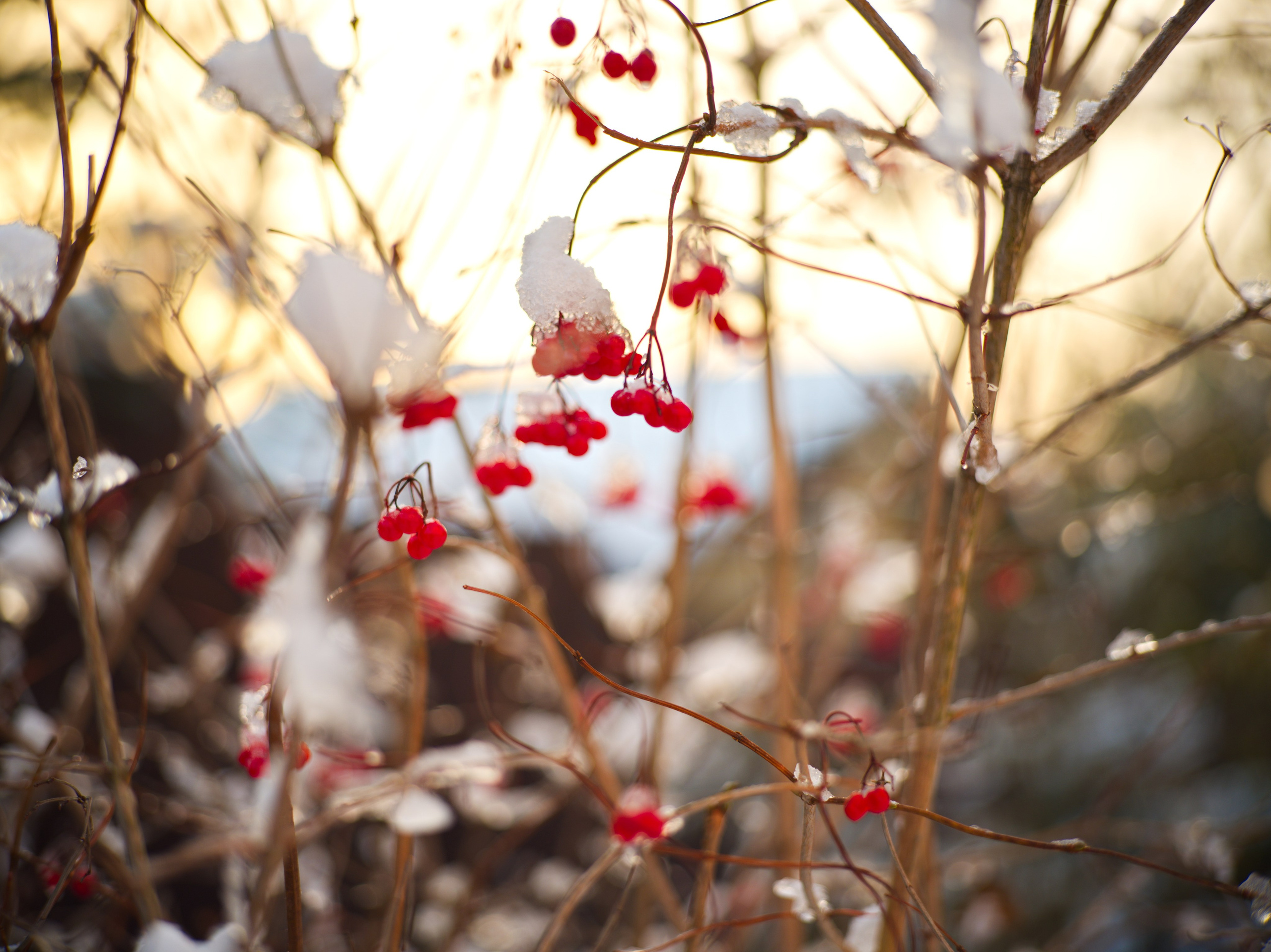 Контакты. Портретный и репортажный фотограф в Санкт-Петербурге Алексей Гончаров