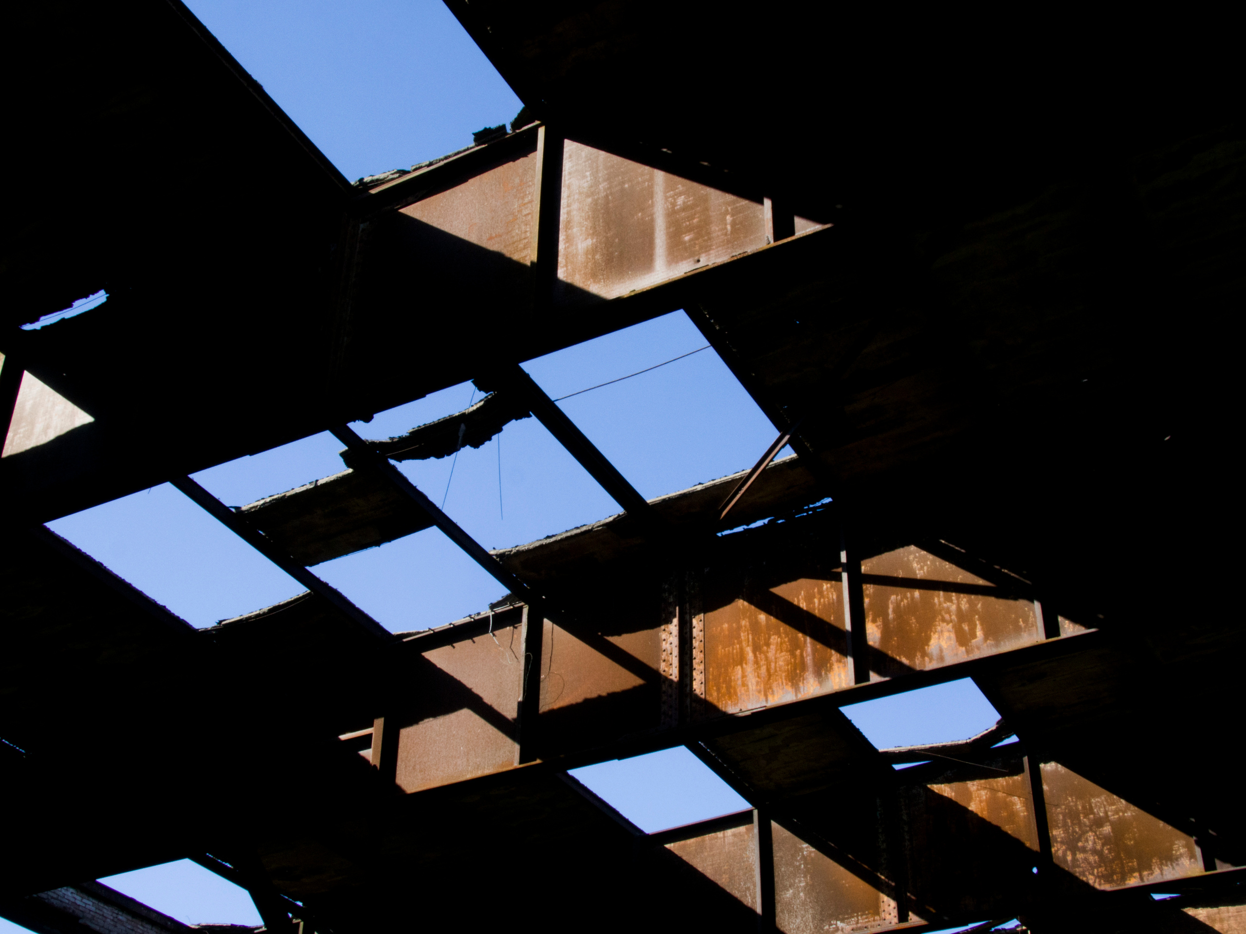 Кураторский проект «Инородное тело»