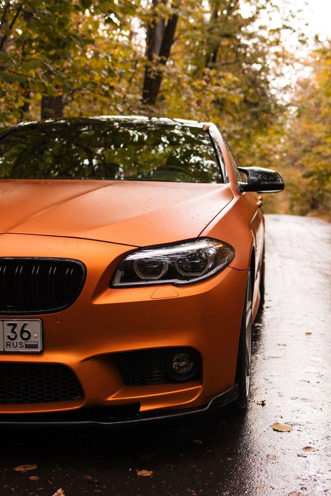 Семейный свадебный фотограф в Воронеже и Россоши