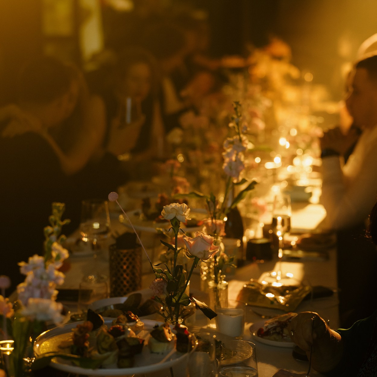 Стоимость и условия. Свадебный фотограф в Санкт-Петербурге Саша Колоцей