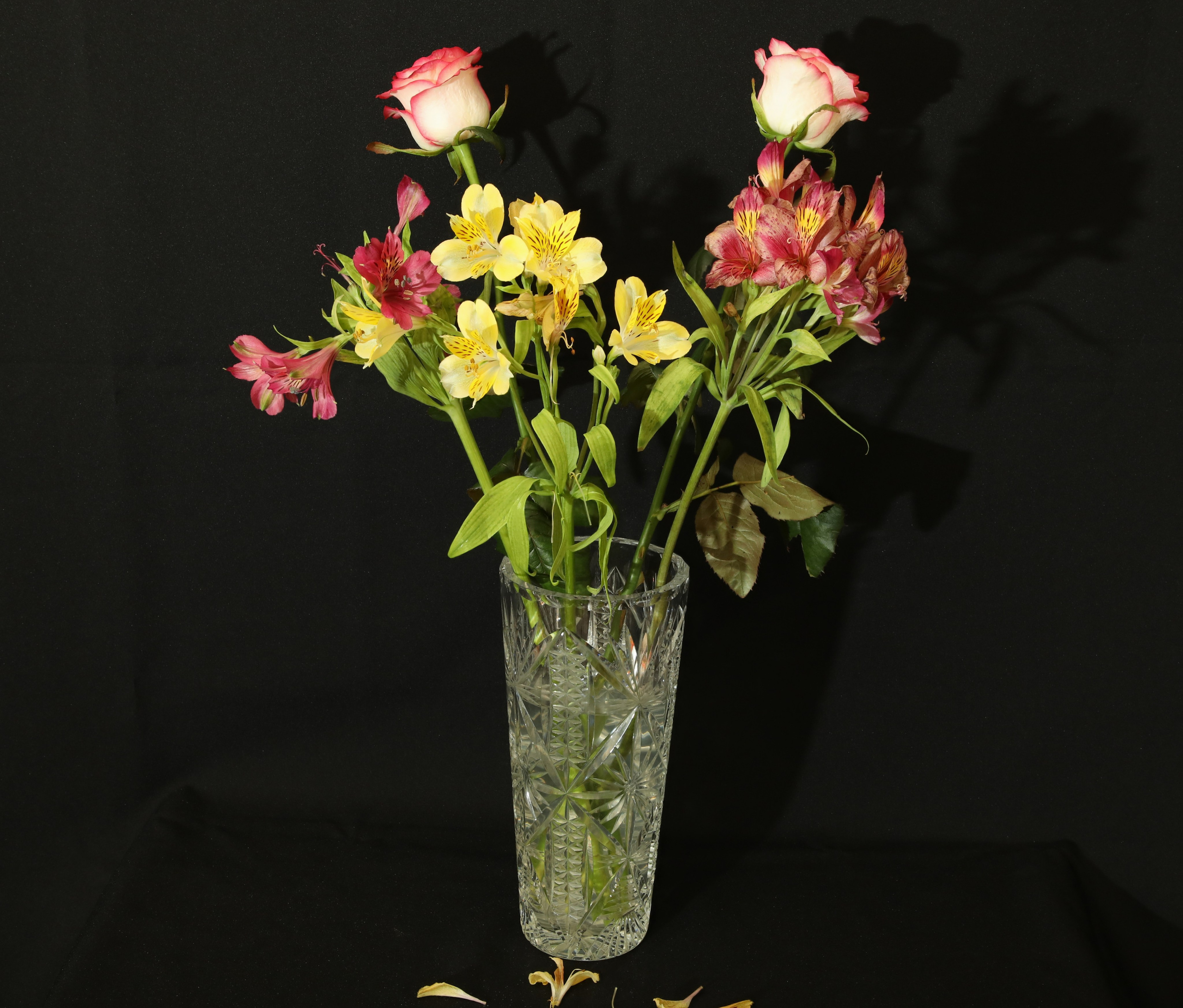 МАГАЗИН и его витрина. Фото-художник и Репортажный фотограф Николаев Александр Алексеевич