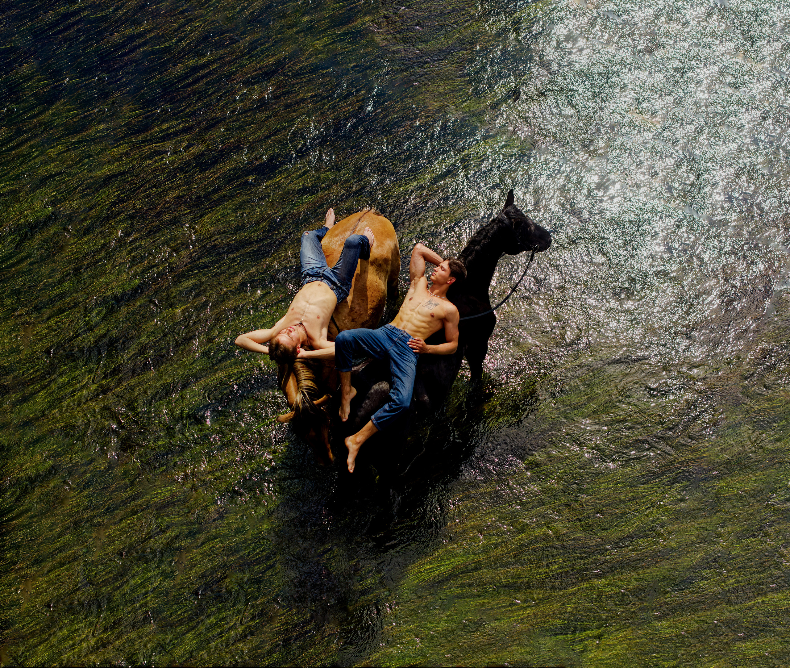 Мои достижения. Фотограф-анималист Юлия Зубкова