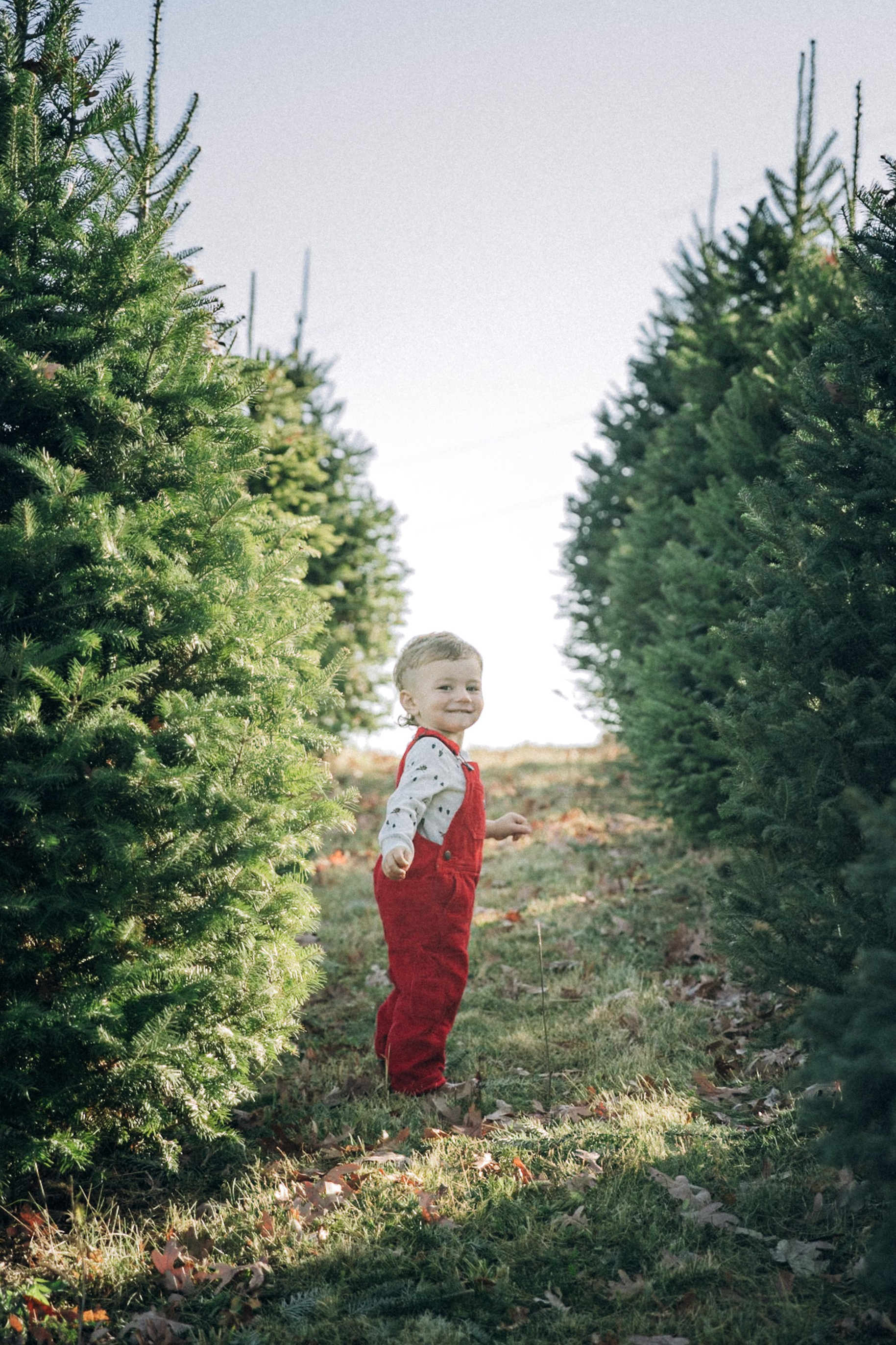 Christmas Mini. Family photographer in Eastern Pennsylvania, Inna Nairn
