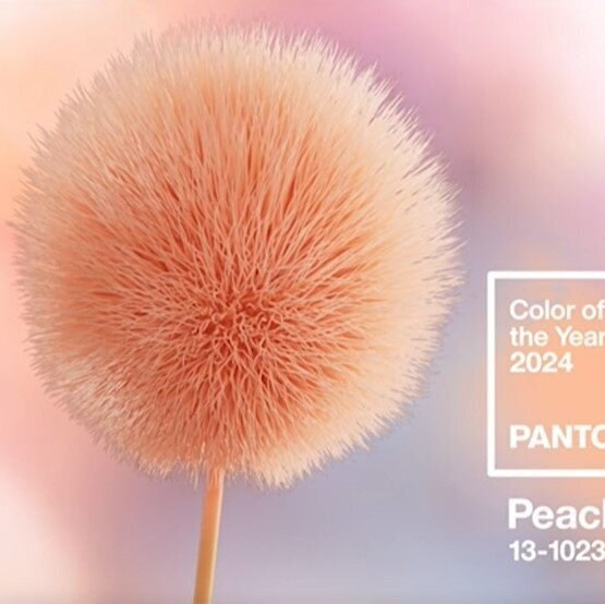 Свадебные тренды 2024. Организация свадеб под ключ в Архангельске и Северодвинске