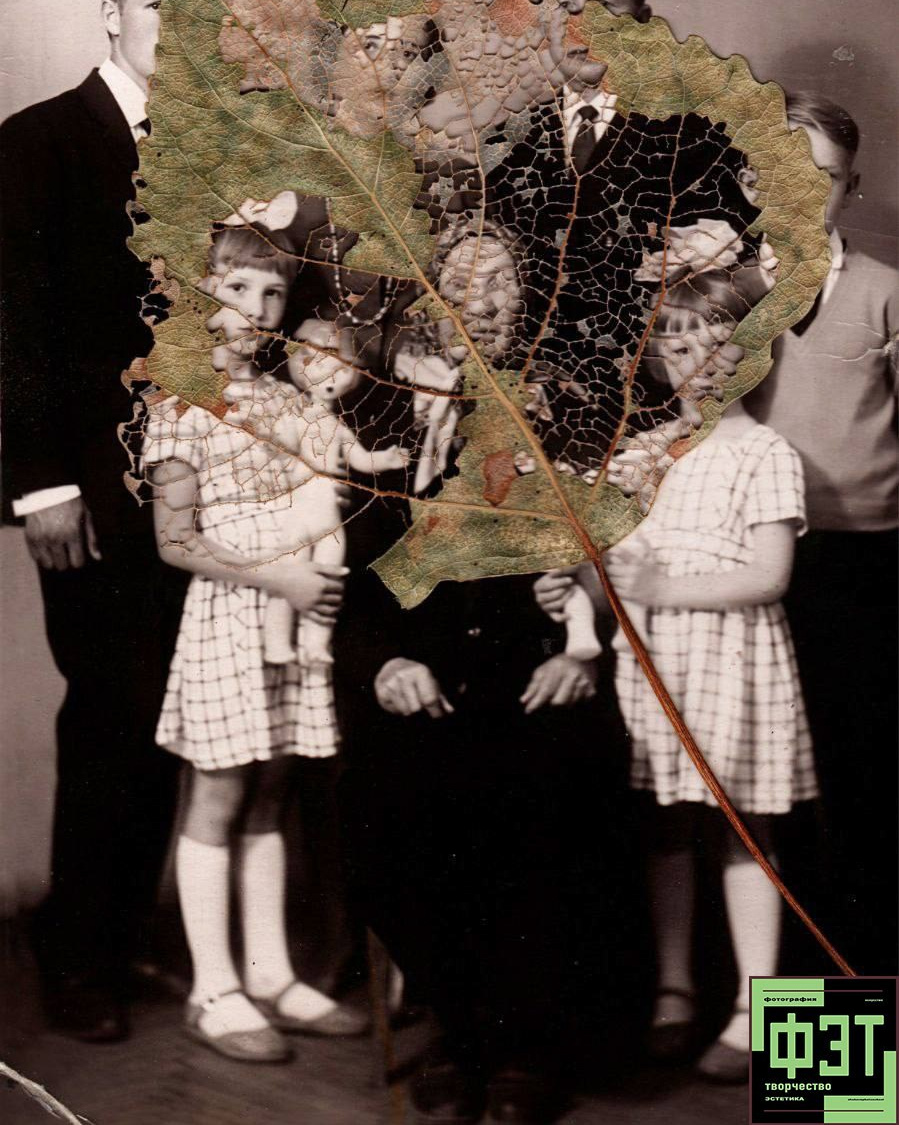 Альбом от 30.11.25 в рамках фотоконкурса ФЭТ: Фотография Эстетика Творчество