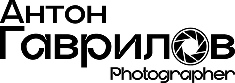 anthon-gavrilov.ru