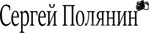 sergeypolyanin.ru