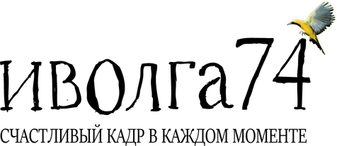 ivolga74.ru