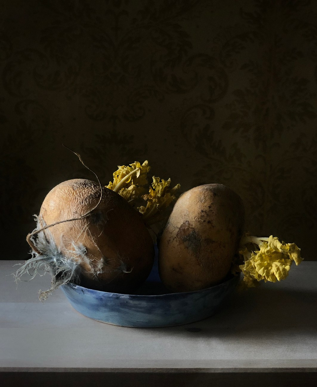✿ Primavera / Still life SHOP. Elena Anosova is an award-winning visual artist
