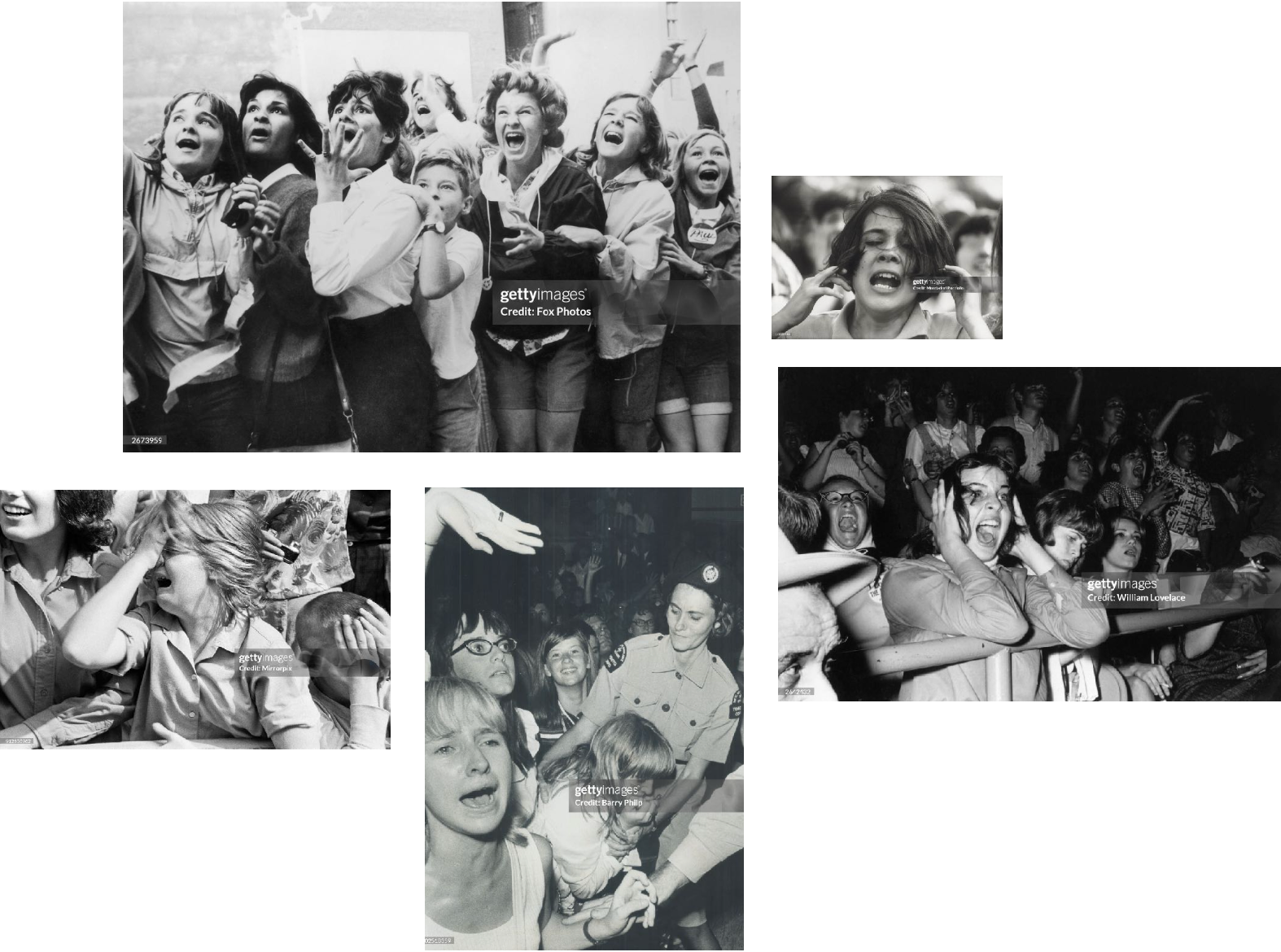 Beetlemania. Лера Круглова