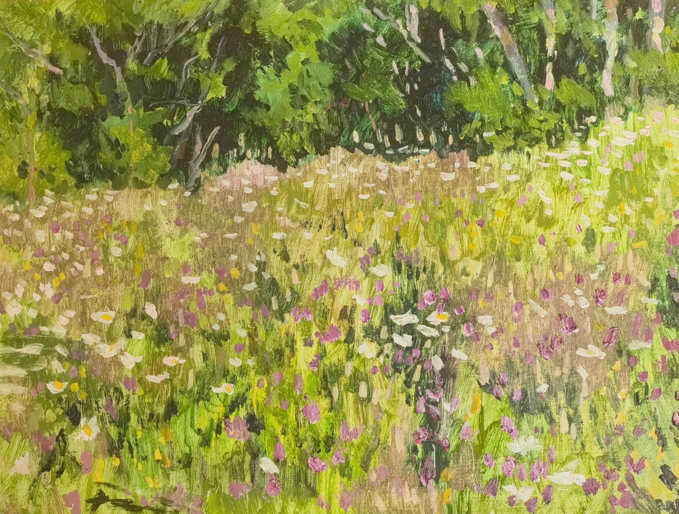 Работа гидом. Художник и гид по Камчатке Евгений Чайкин