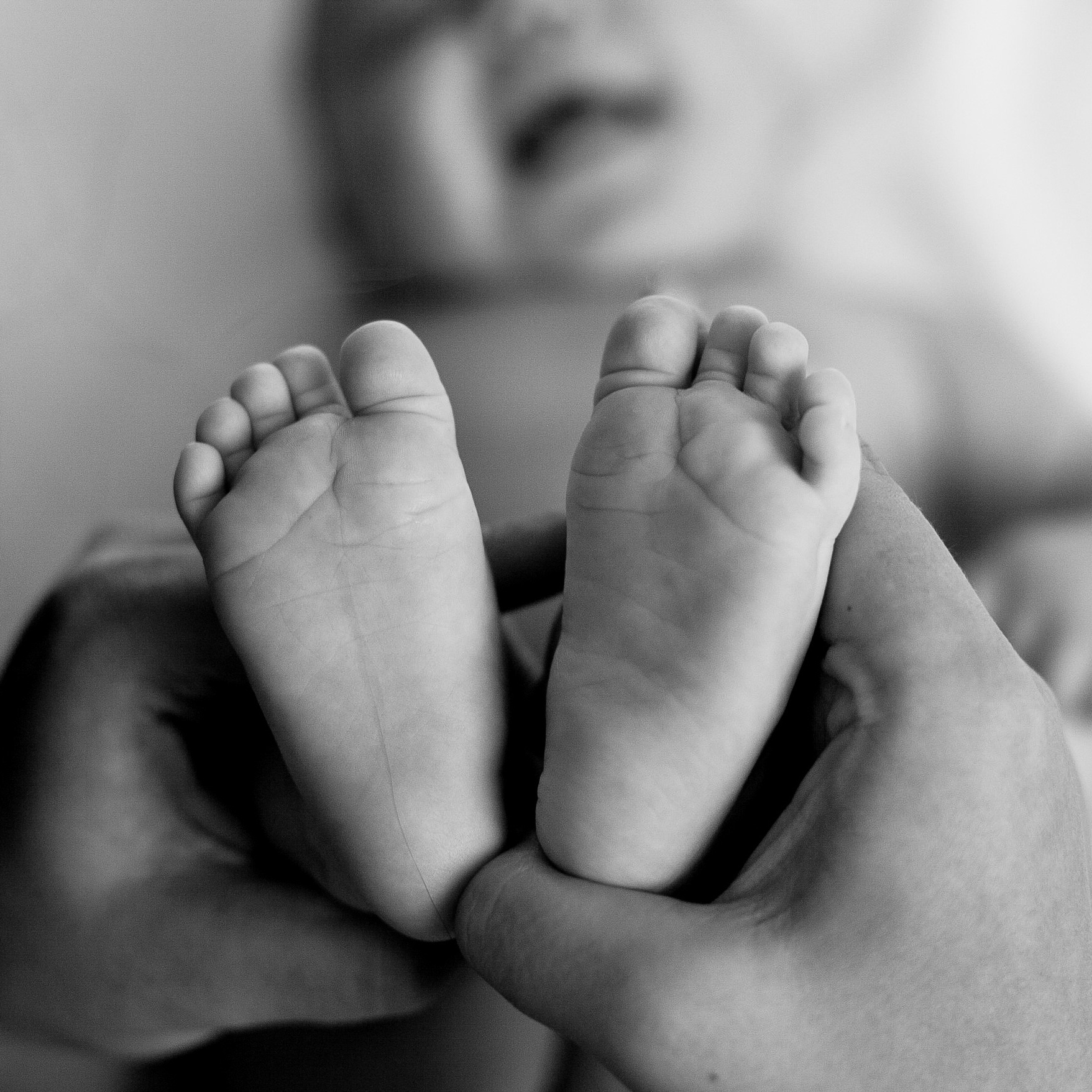 Фотосессии на любой вкус!. Фотостудия Панда