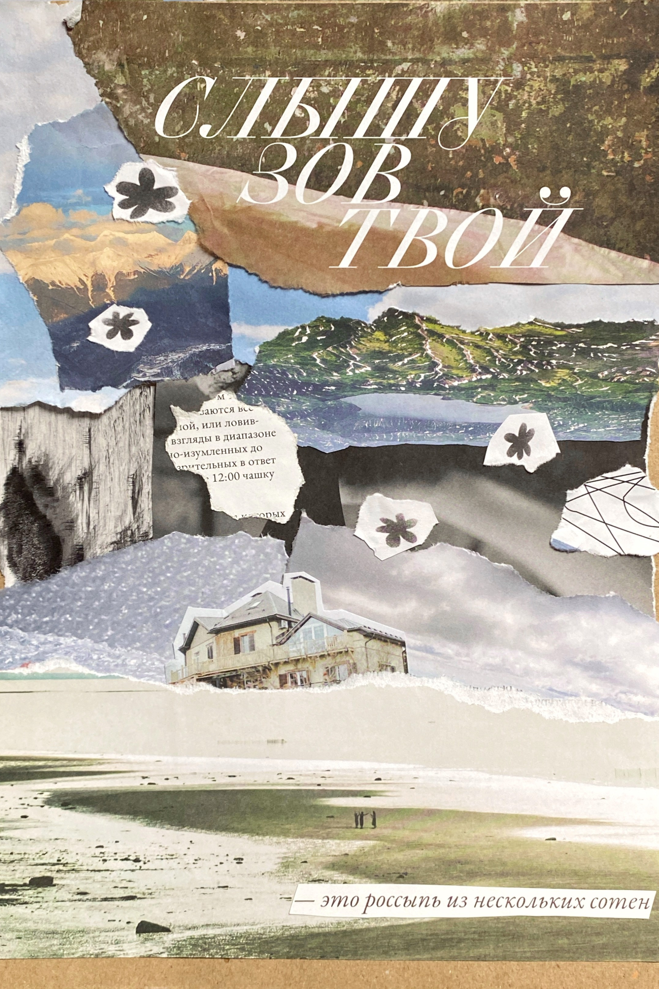 Shop. Мультидисциплинарная художница