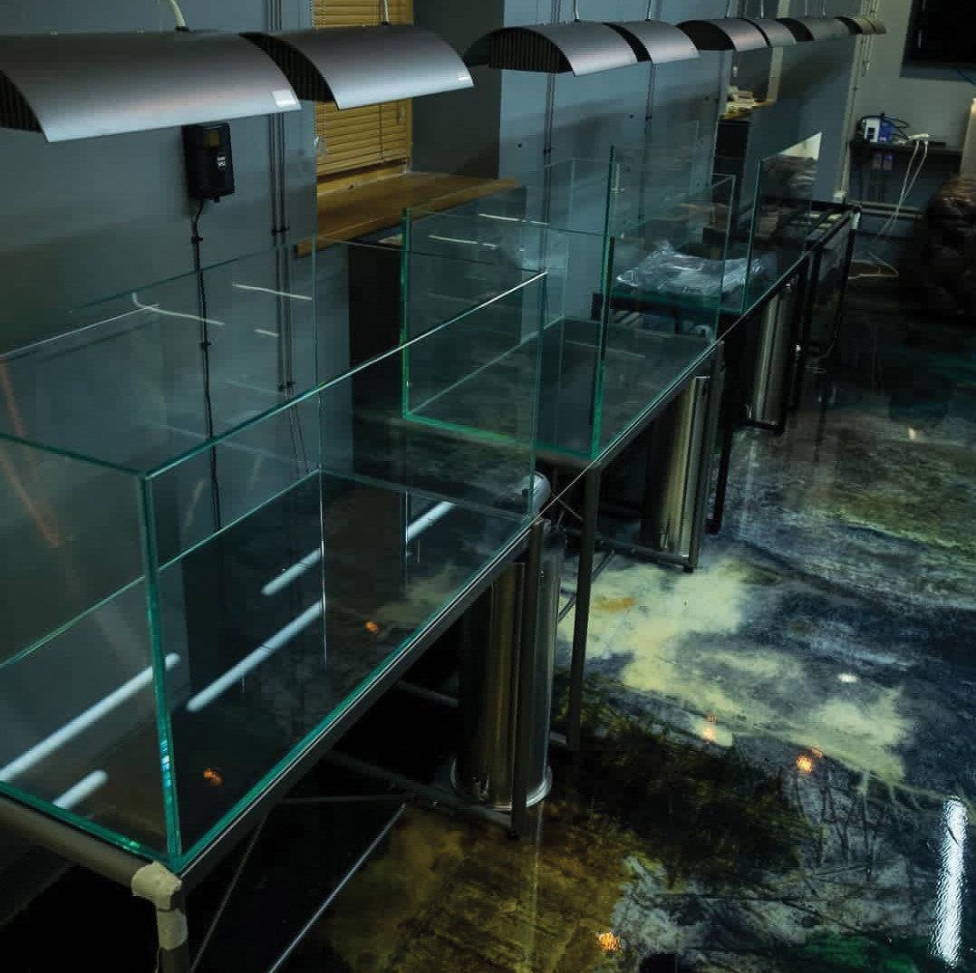 Опыт работы. Home