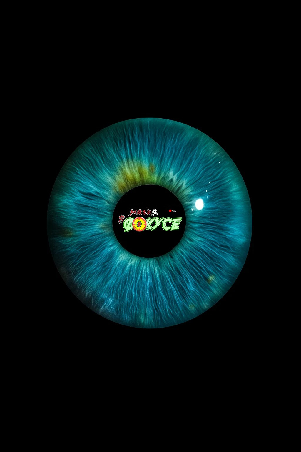 Обо мне выпускные альбомы геленджик. Выпускные альбомы Геленджик, Новороссийск, Краснодар, Туапсе