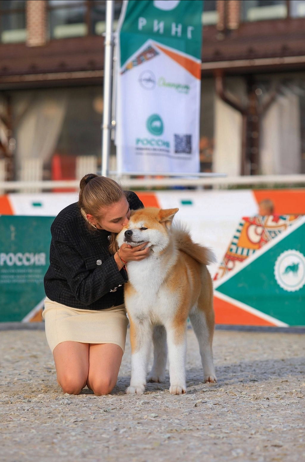 Dog Shows. Kennel Akita inu