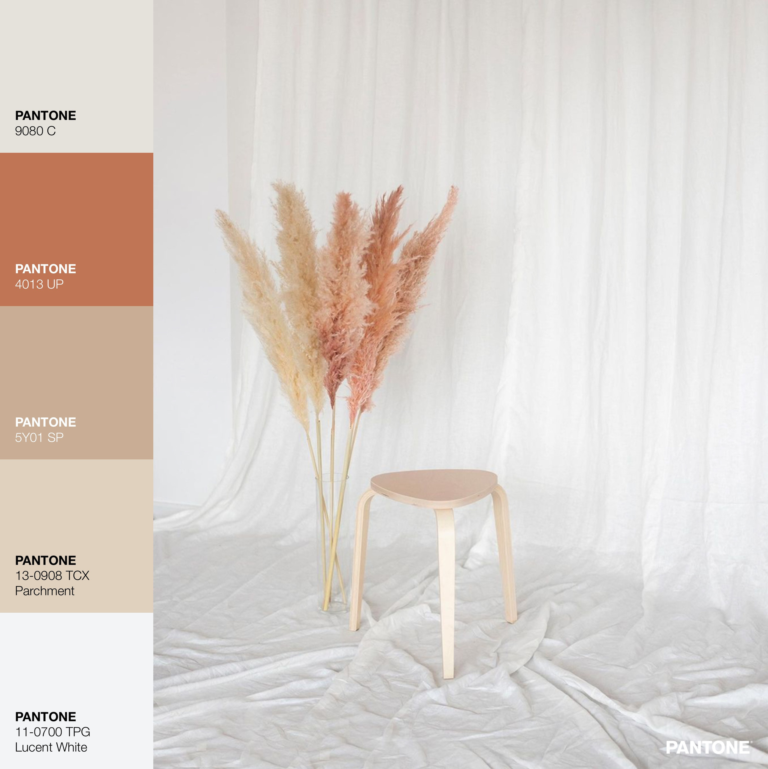 Имиджевая фотосессия в Минске. Фотограф в Минске Анна Кучинская