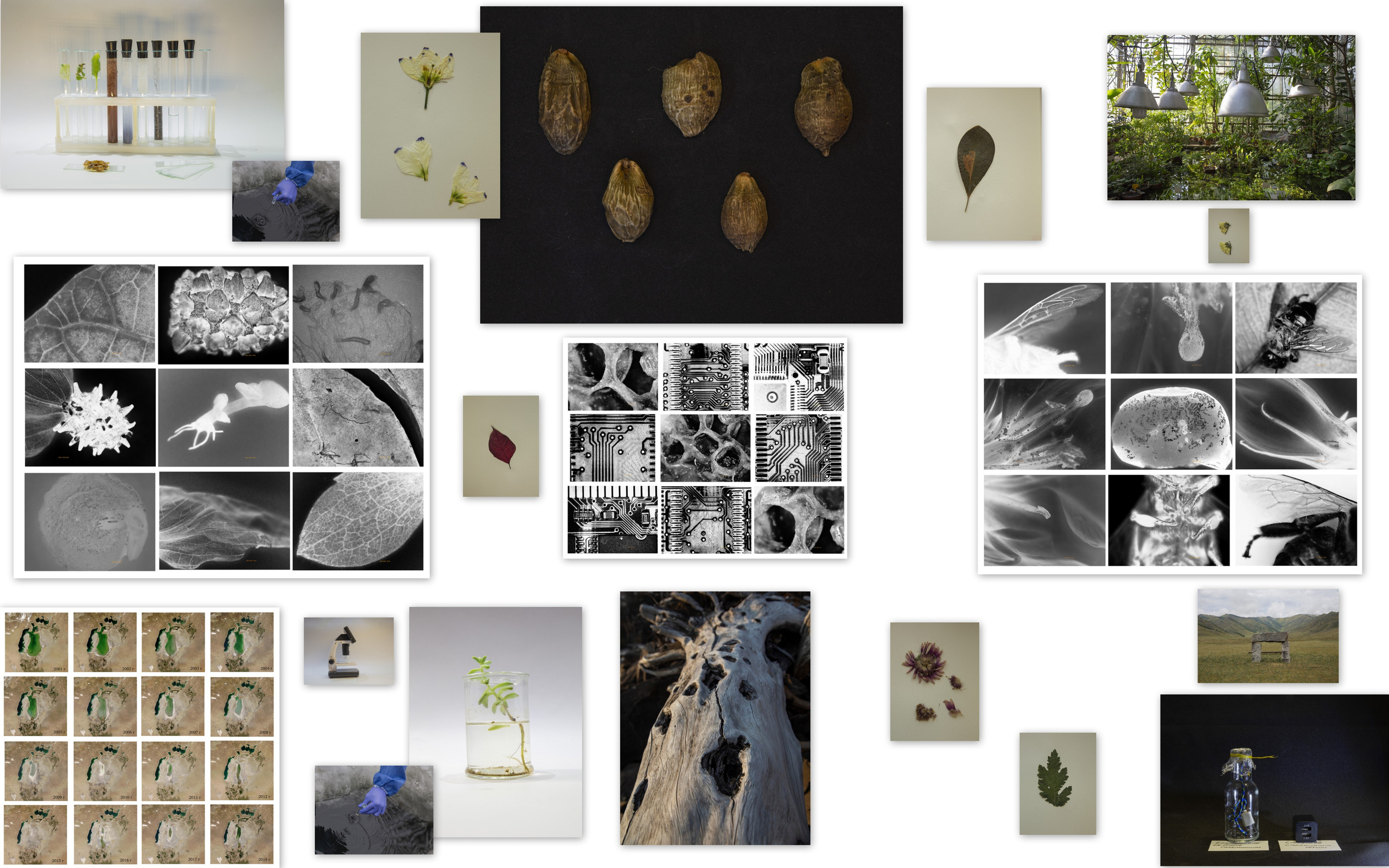 Елена Батова